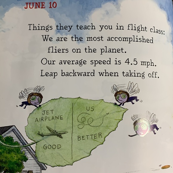 Diary of a Fly Hardback New Book - Picture 4 of 6